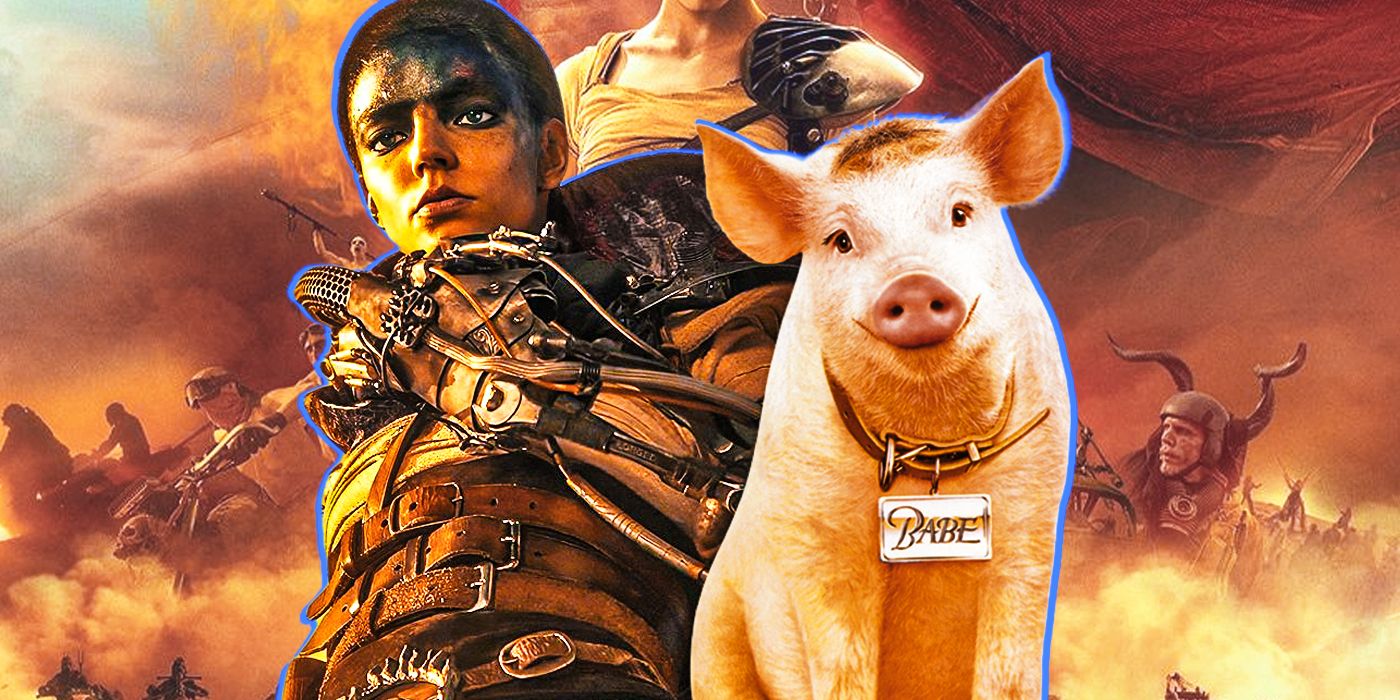 Bartertown Collectibles (@bartertowncoll1) / Posts / X, image size:1400x700