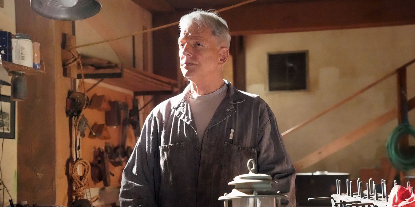 NCIS Fans Have a Lot to Look Forward to on November 8