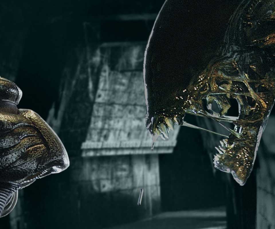 Alien Vs Predators 15 Best Monster Movie Fights of All Time