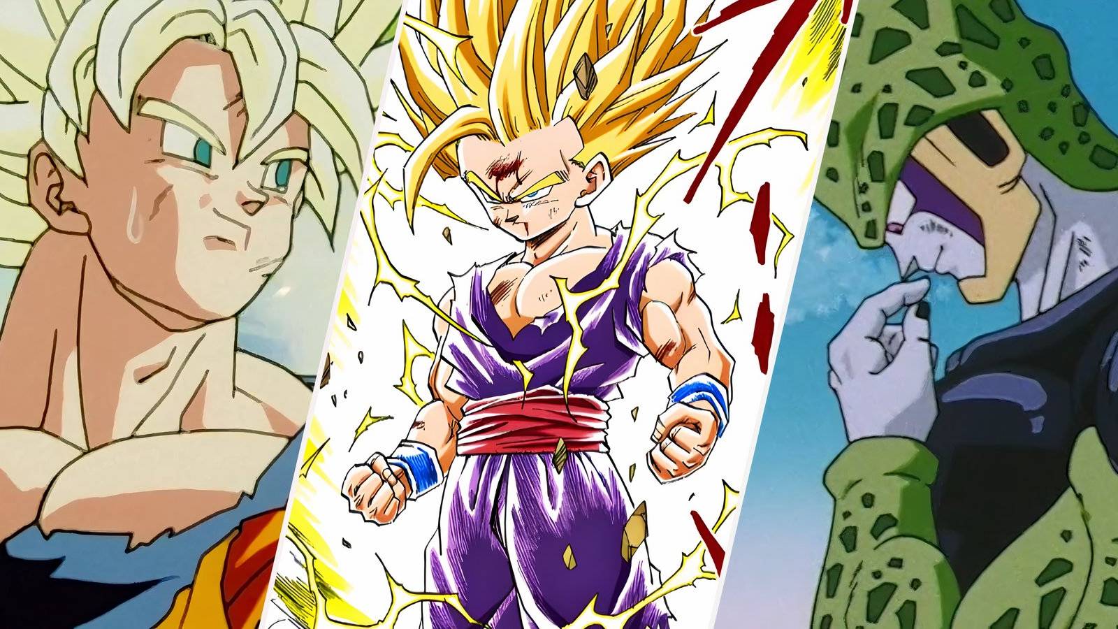 The Misunderstanding of Gohan's Potential