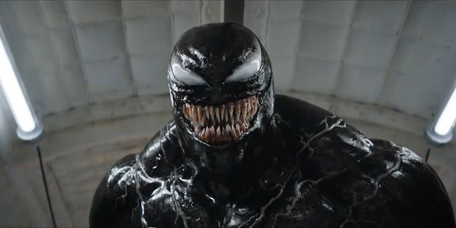 'God Is Coming': el director de Venom 3 adelanta un nuevo spin-off que explora el origen de los simbiontes