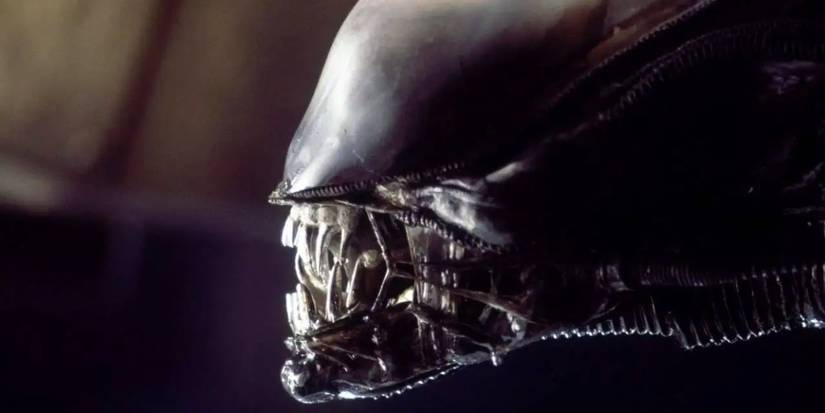 A close -up of the Xenomorph of the 1979 extraterrestrial film