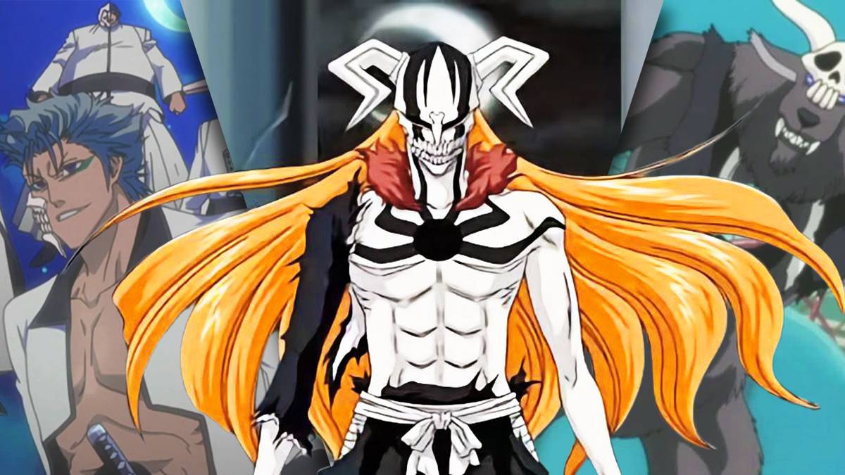 Normal Hollow The Role of Hollows in Bleach's Universe, Explained