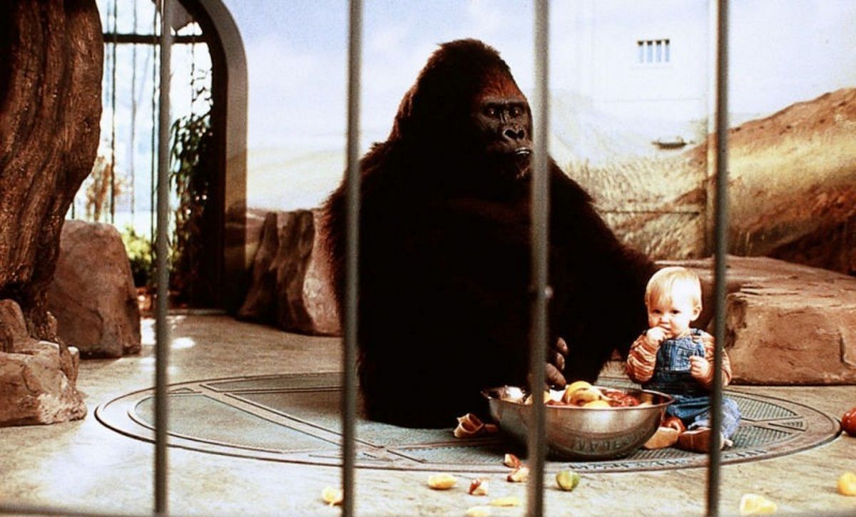 Baby's Day Out Director Recalls Getting Destroyed by The Lion King 30 ...