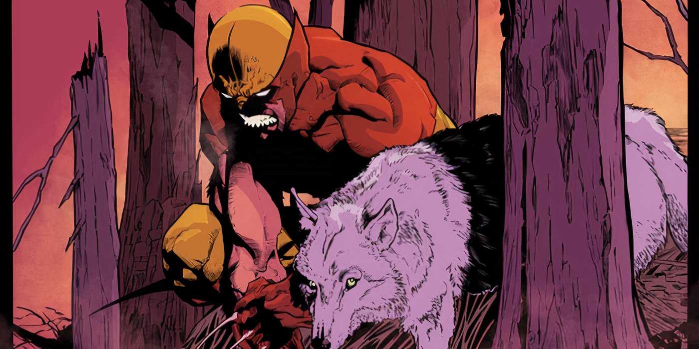 Wolverine Path 10 Wolverine Stories That Are Perfect for Video Games