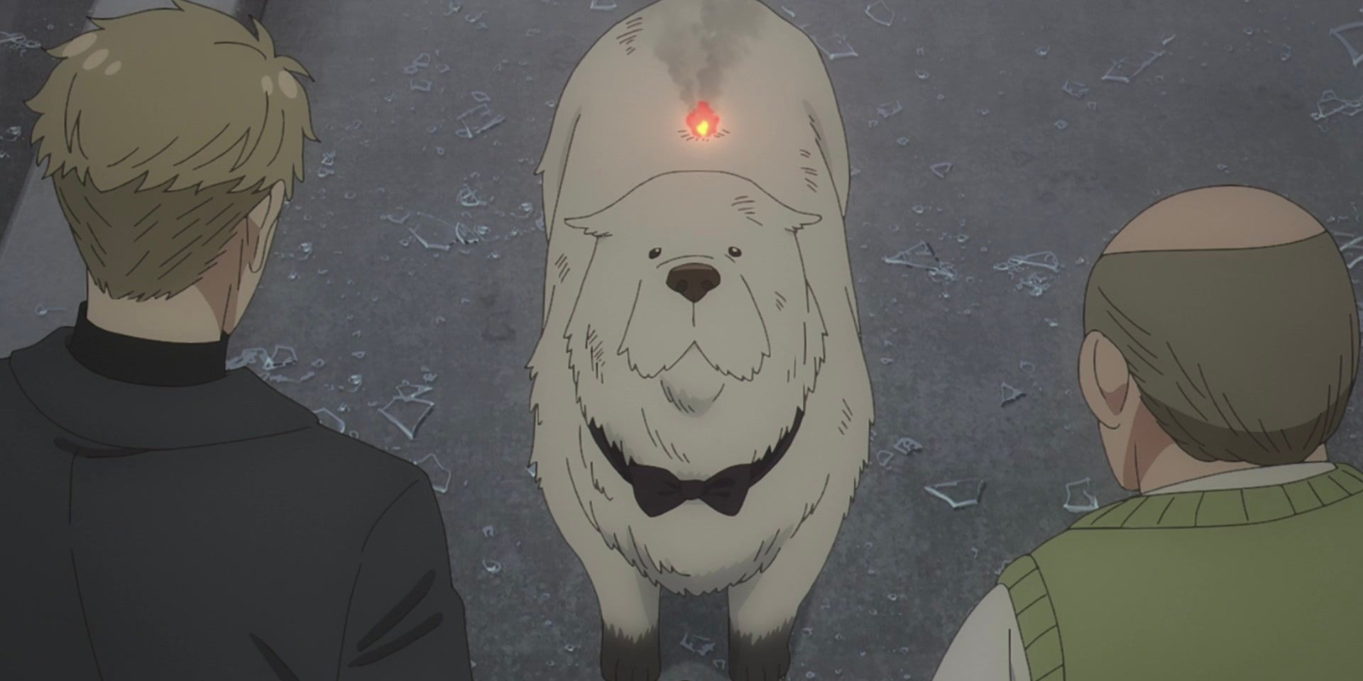 Spy x Family’s Beloved Canine Is A Fan Favorite