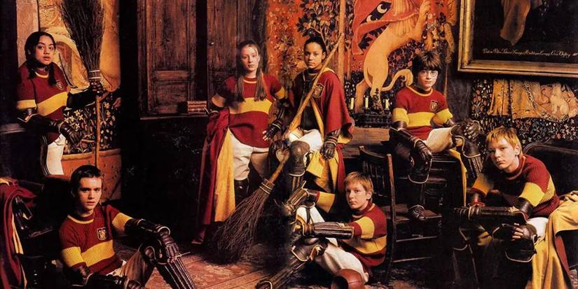 Harry Potter's Gryffindch Quidditch team.