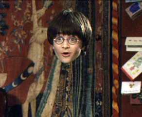 Potterer Harry Potter’s Complete Family Tree, Explained