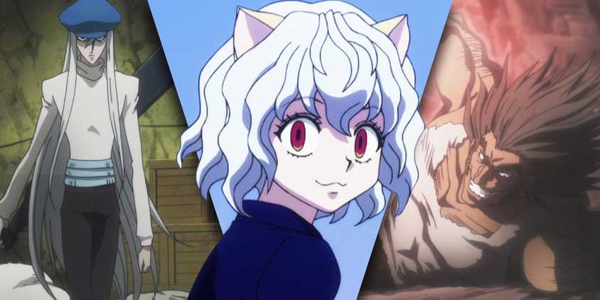 Hunter x Hunter: Zoldyck Family Tree, Explained