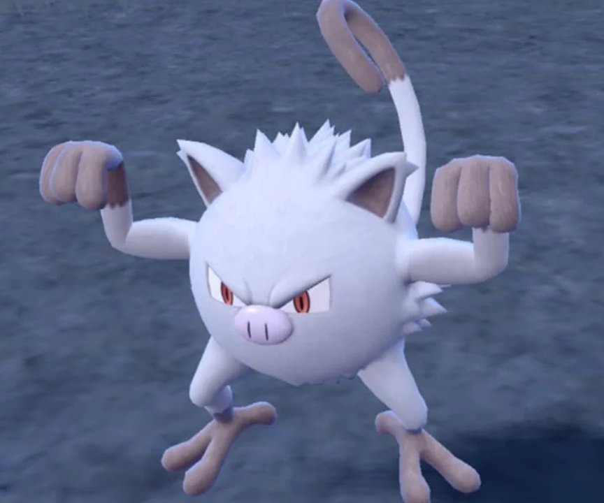 Mankey Rules Fighting Pokemon Mankey
