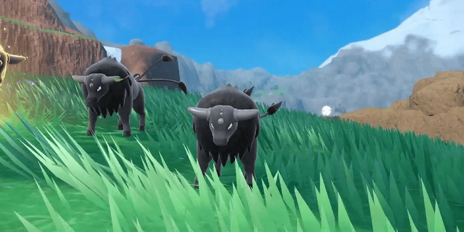 How to Play Tauros in Pokémon: Scarlet & Violet