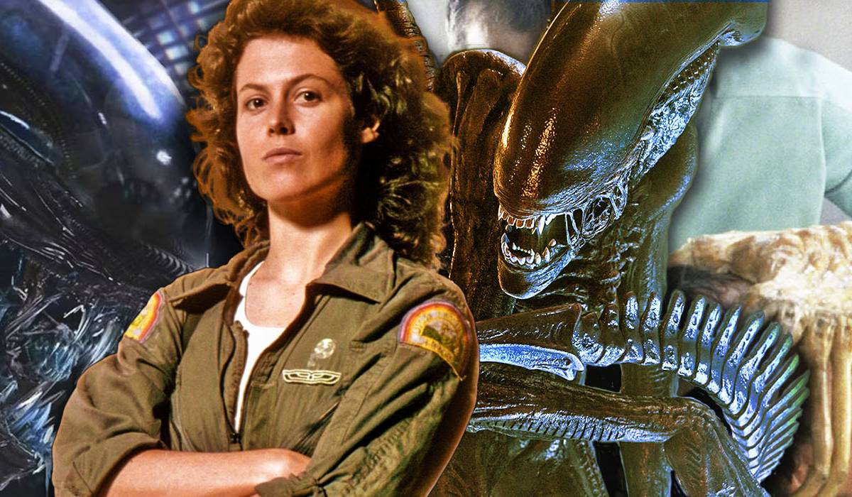 Eng seksual ofitsiantlar