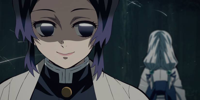 Shinobu Kocho looks back at the spider daughter in the Demon Slayer anime