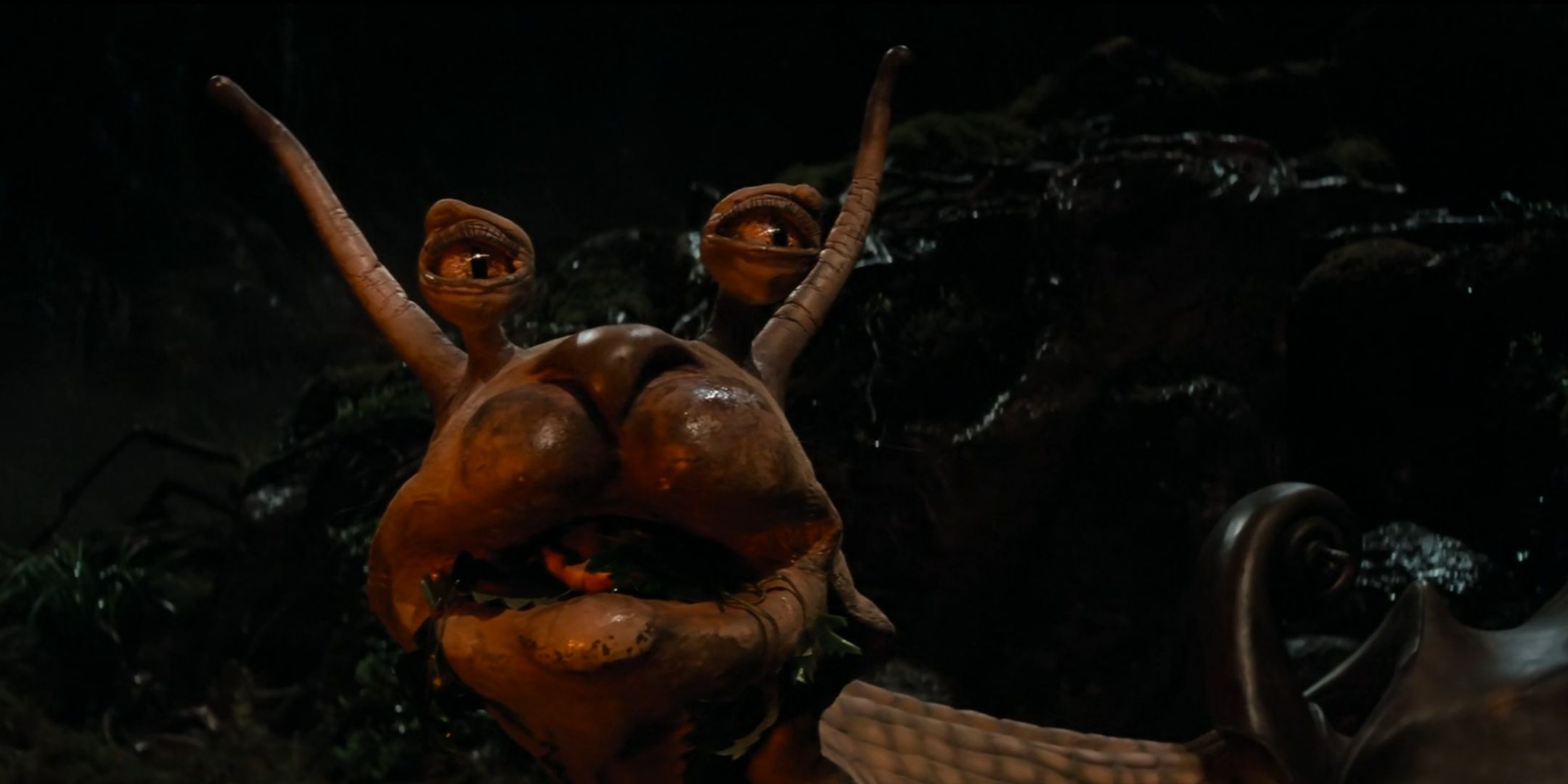 This Iconic 40-Year-Old Fantasy Film Has Lost Its Magic