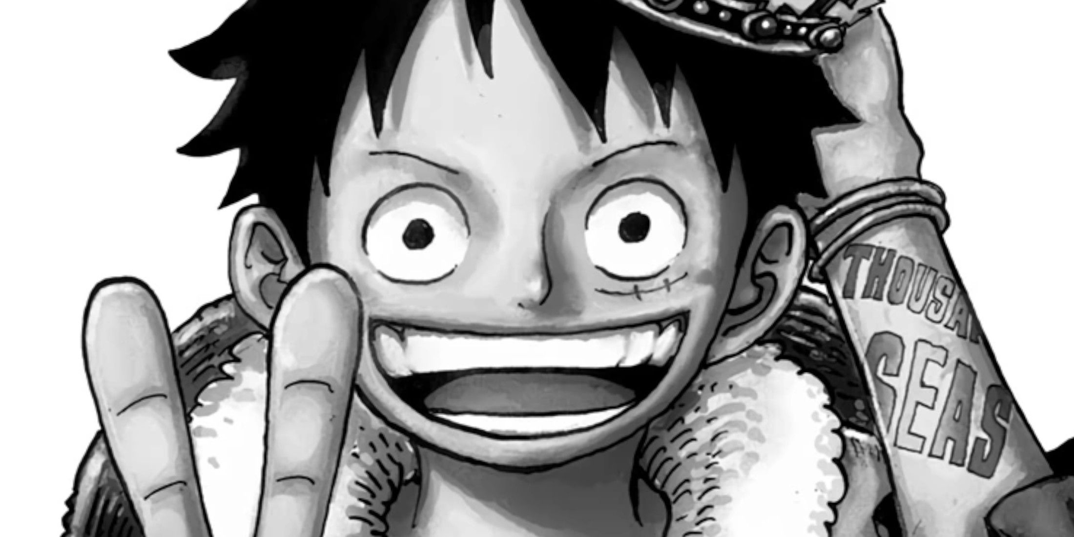 Best One Piece Manga Covers, Ranked