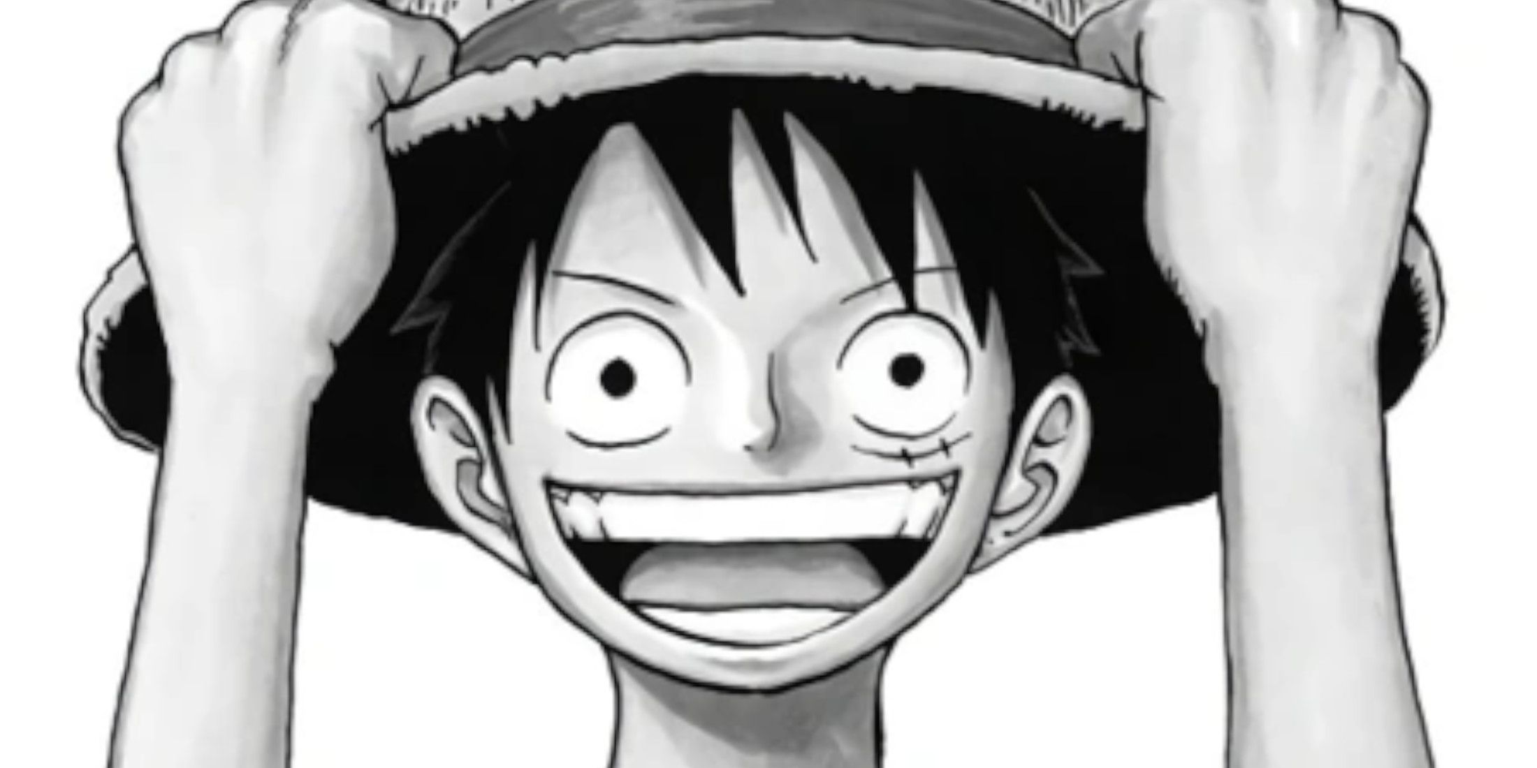 Best One Piece Manga Covers, Ranked