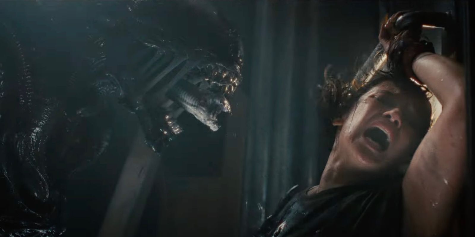 'Not One Frame of CGI': Alien: Romulus Director Breaks Down That Gruesome Scene