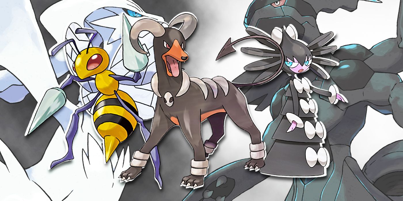 ポケットモンスター ブラック 北米版 Pokémon black version ポケモン