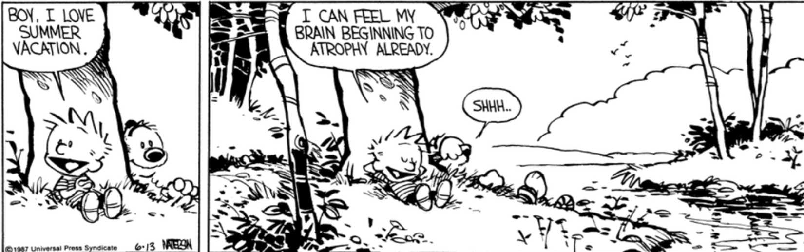 Calvin Hobbs Rocks Calvin & Hobbes' Best Summer Adventures