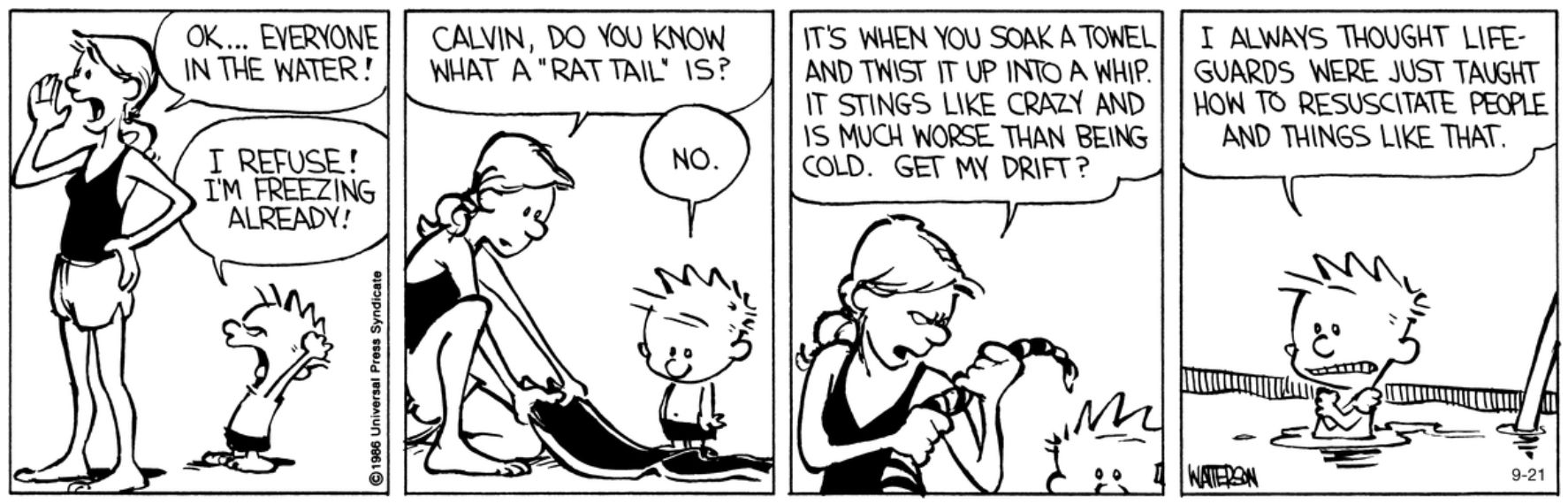 10 Best Calvin and Hobbes Comics About Sports