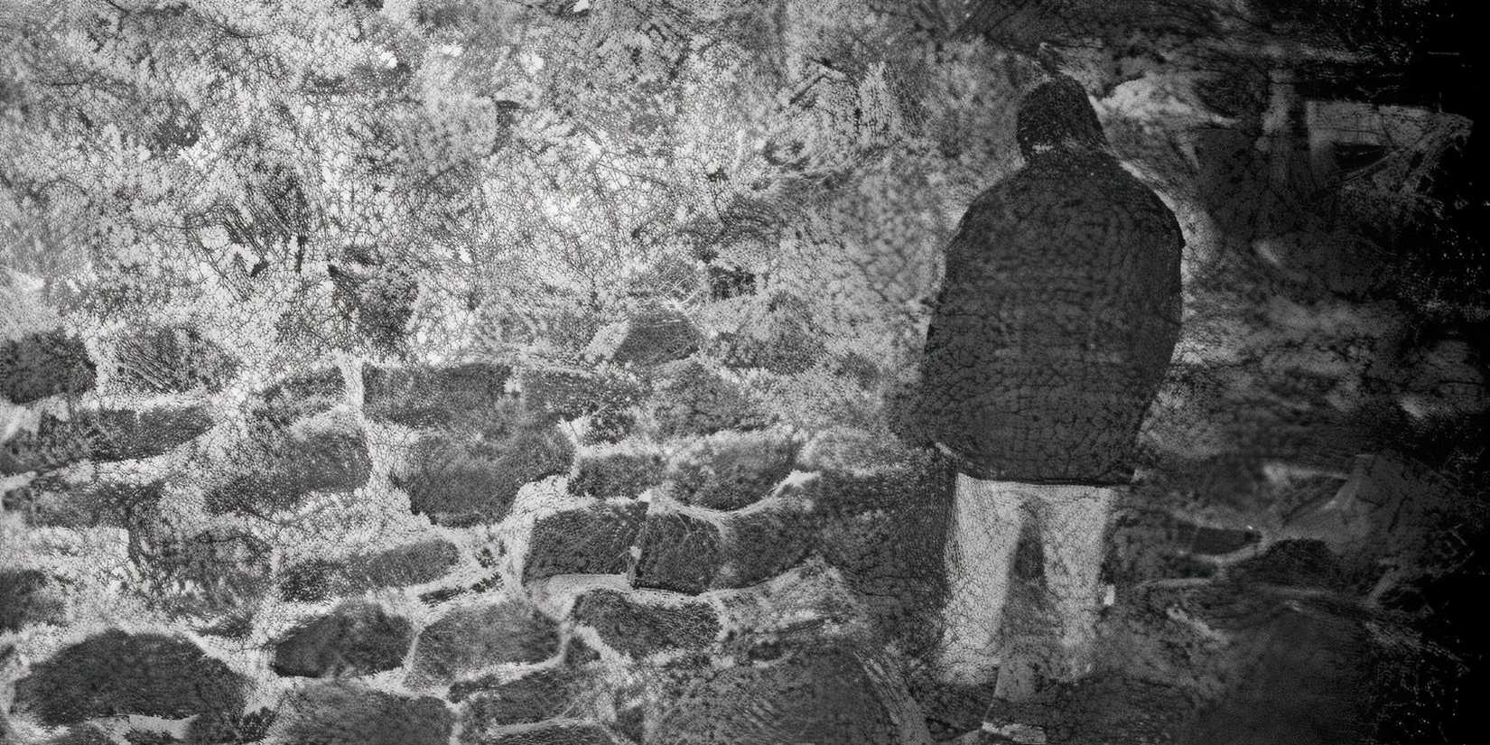 Blair Witch Project Reboot Brings Back Original Stars With 1 Major Absence