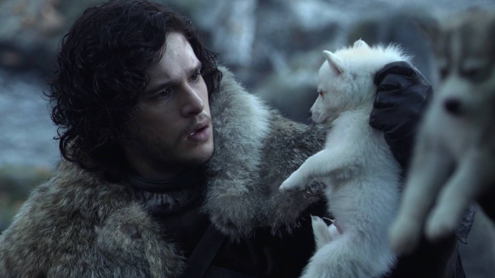 8 Greatest Animal Companions in Fantasy Books, Ranked