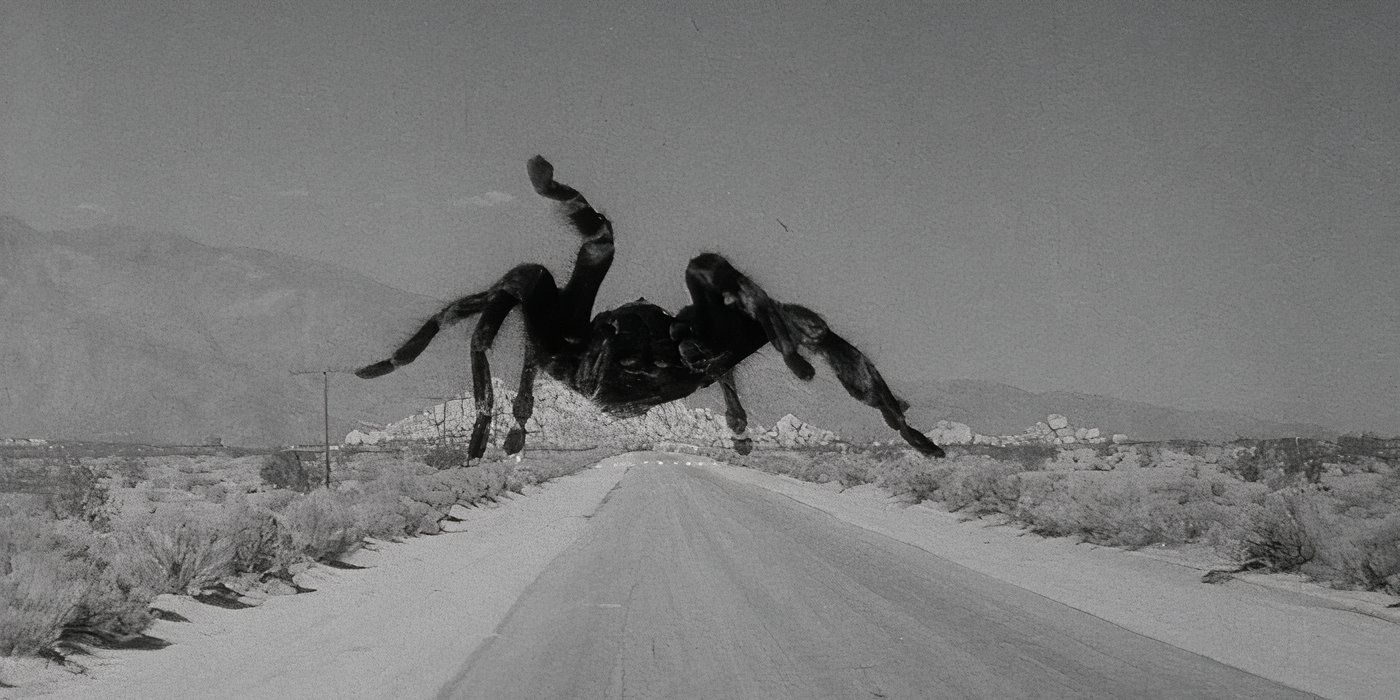 tarântula gigante de 1955 na estrada