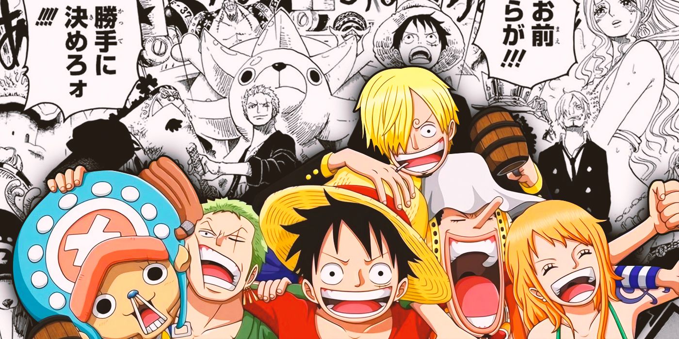 One Piece Straw Hats Pirates