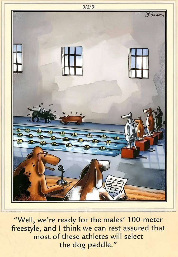 The New Olympics Funny Cartoons Far Side Comics Comic Strips