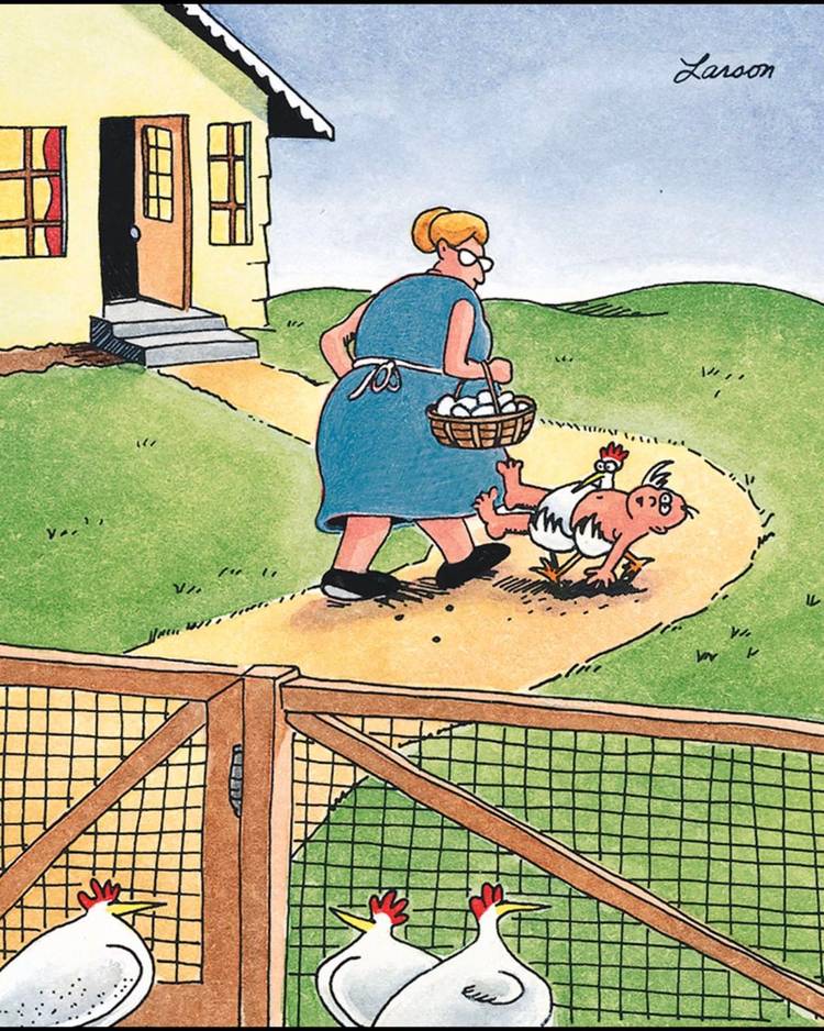 Larson Cartoon Rabbit Stage The 40 Best Far Side Comic Strips of All Time