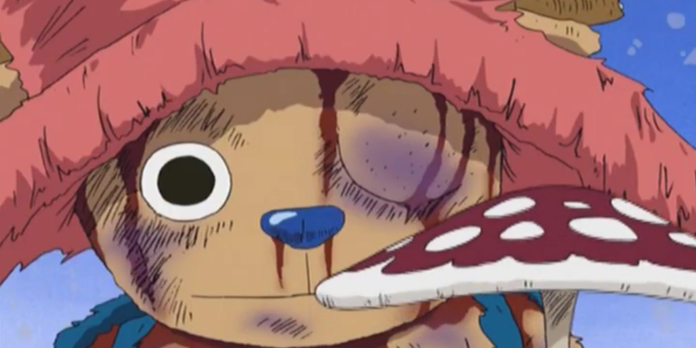 How Old Are The Straw Hat Pirates?
