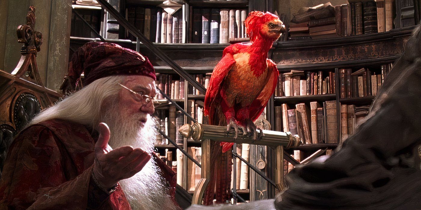 10 Hogwarts Professors Who Saved Harry Potter's Life