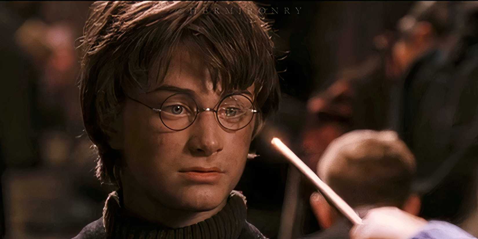 Harry Potter Handyhulle