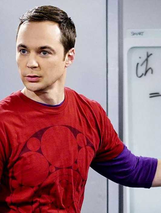 Sheldon Maths The Big Bang Theory: The Main Characters, Ranked By Intelligence