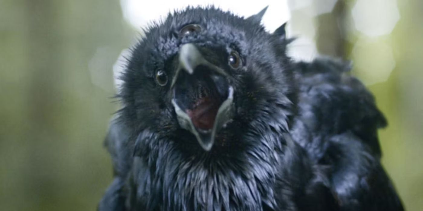Why Max von Sydow was Recast as The Bloodraven in Game of Thrones