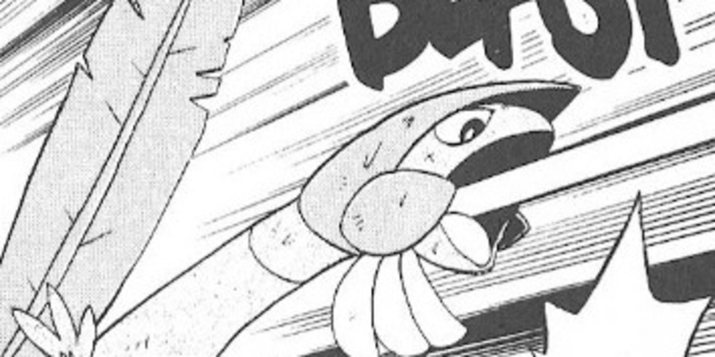 10 Reasons To Appreciate This Underrated Grass/Flying-Type Pokémon