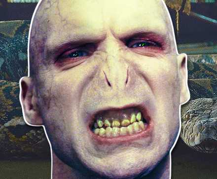 Voldemort Slith The Sacred 28 in Harry Potter, Explained