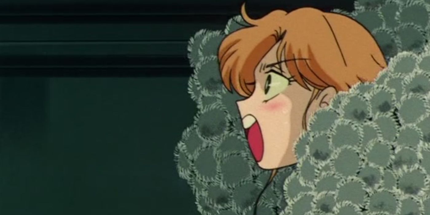 Sailor Moon: The Seven Great Youma, Ranked