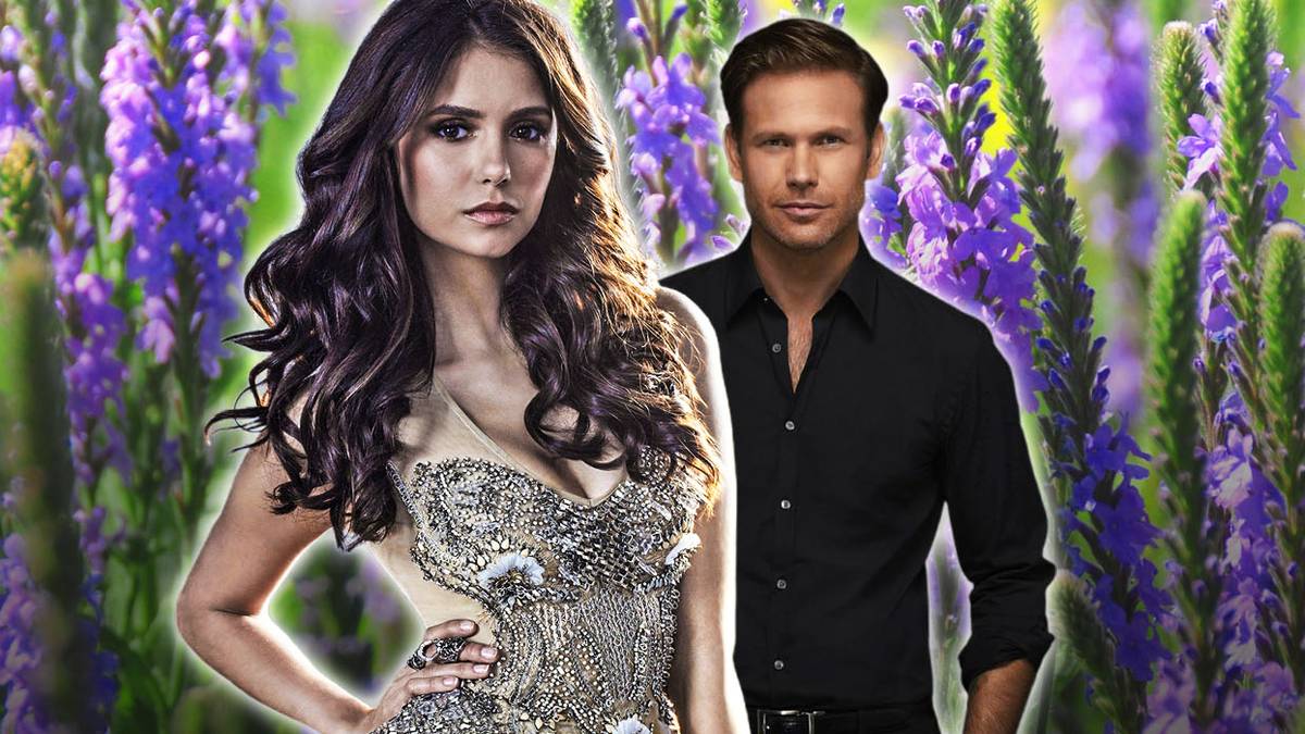 What is Vervain in The Vampire Diaries & Who is Immune?