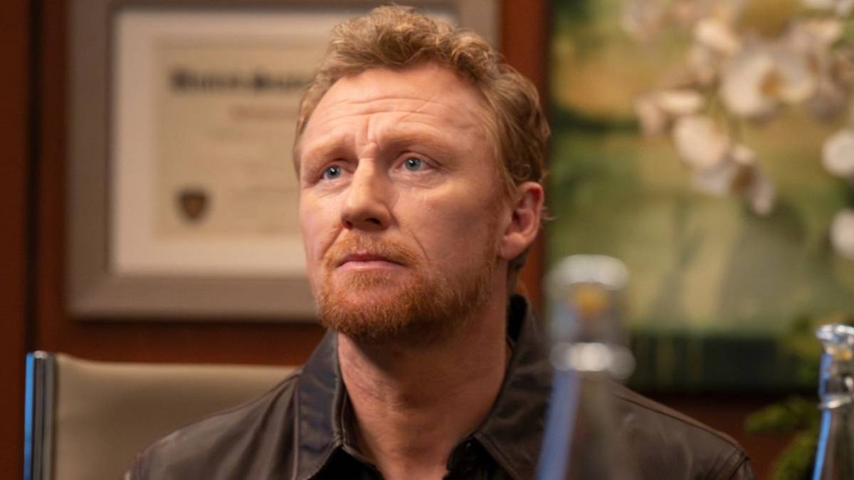 Grey's Anatomy Fan Favorite Lands First TV Role Since Exit in Hulu Legal ...