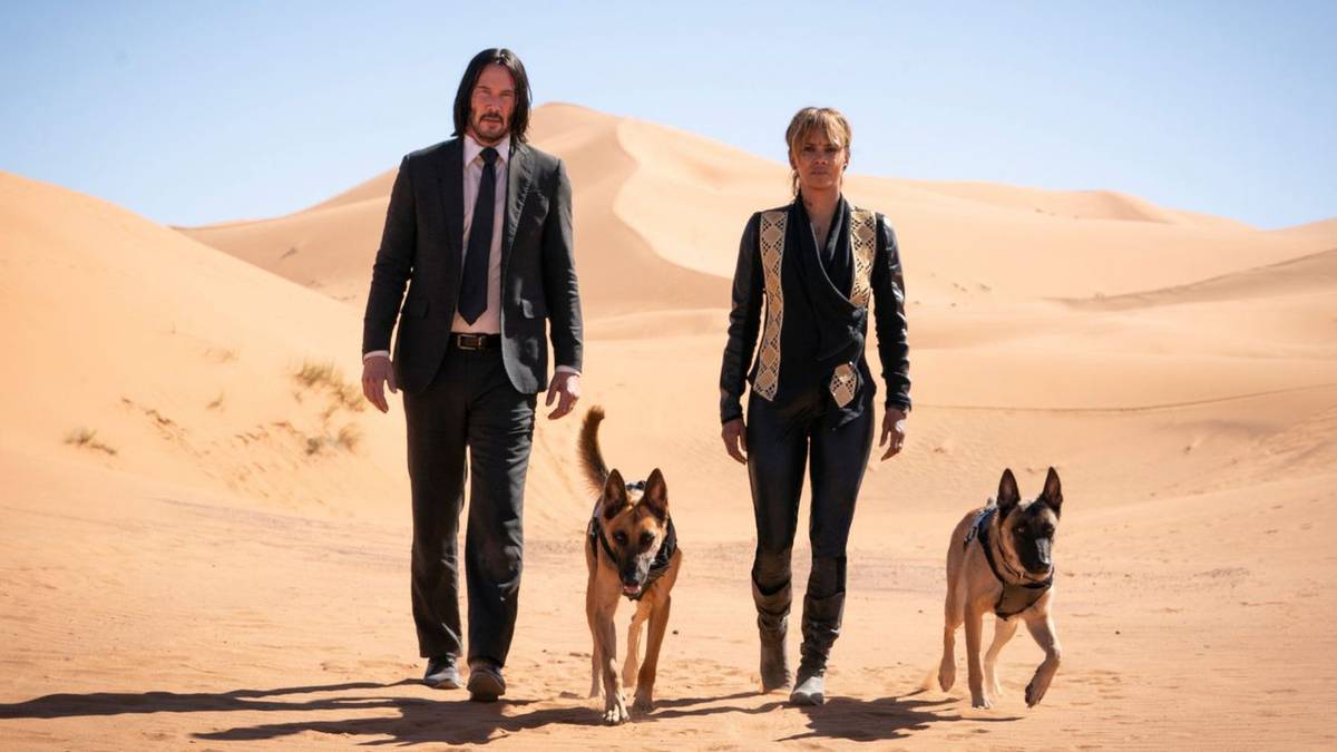 'She's Always On Our Mind': John Wick Director Doesn't Rule Out Halle ...