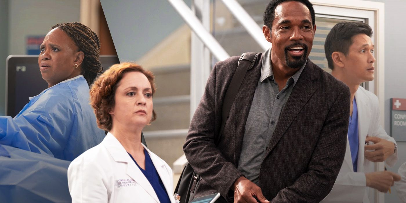 Grey's Anatomy: Season 21, Episode 3, "I Can See Clearly Now," Recap &  Spoilers