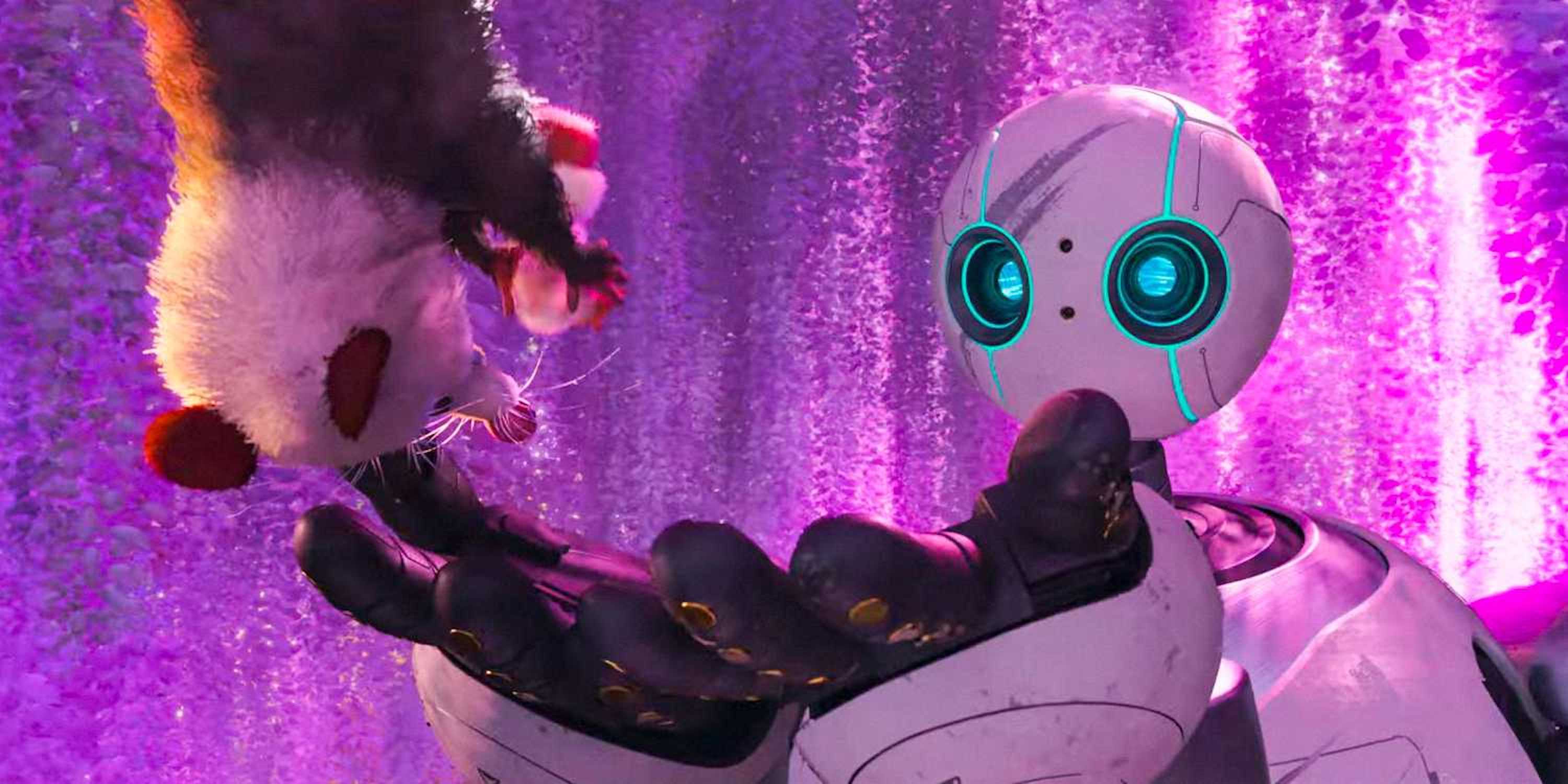 The Wild Rabot The Wild Robot Triumphs as Best Animated Feature at Critics' Choice Awards