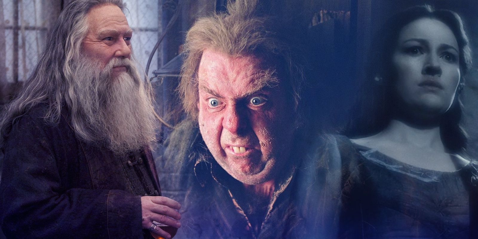 10 Most Interesting & Obscure Harry Potter Characters