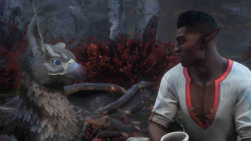 Davrin Rook How to Romance Davrin in Dragon Age: The Veilguard