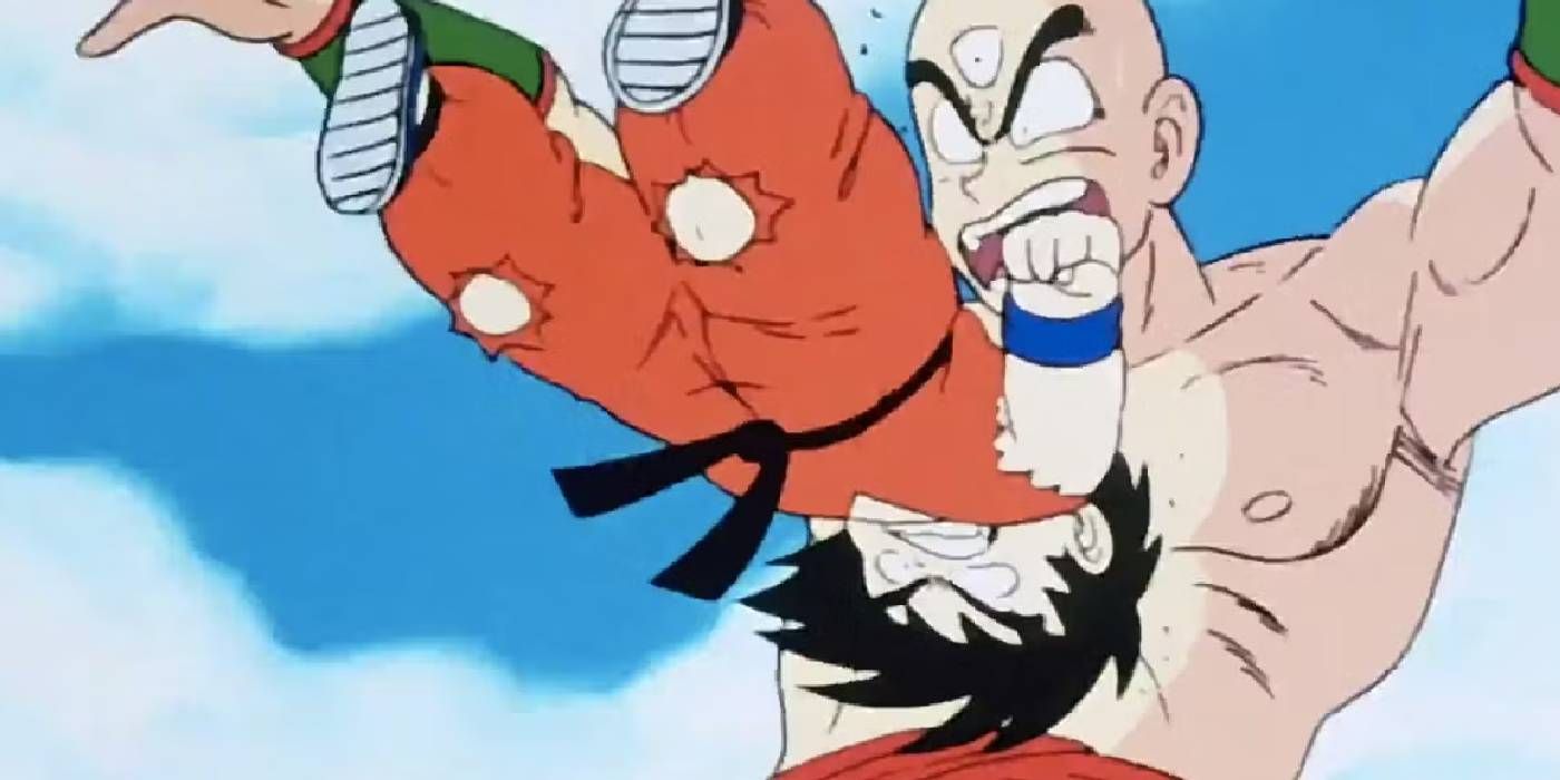 Every Martial Artist Who Fought in DBZ's World Tournaments