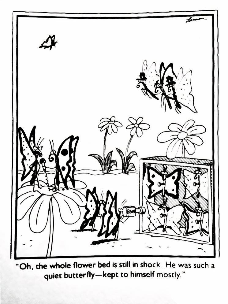 10 Best The Far Side Comics Featuring Insects, Ranked