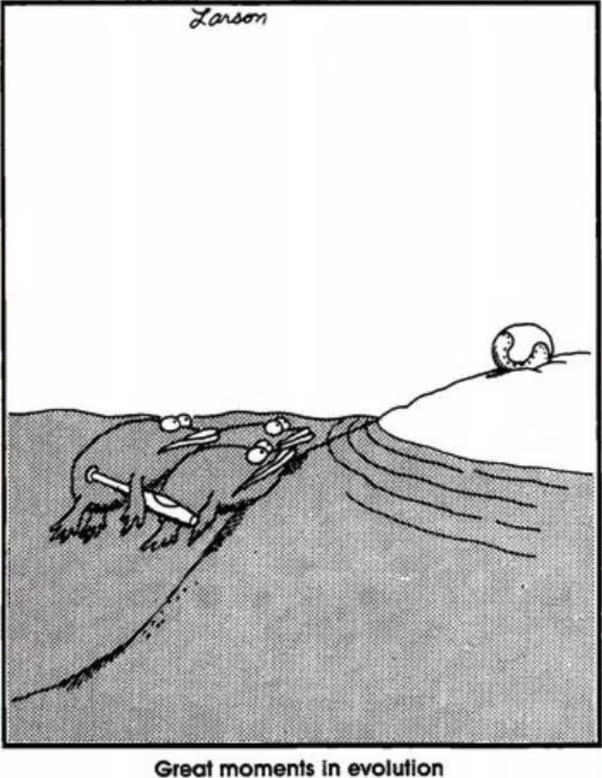 15 Funniest The Far Side Comics About Sports