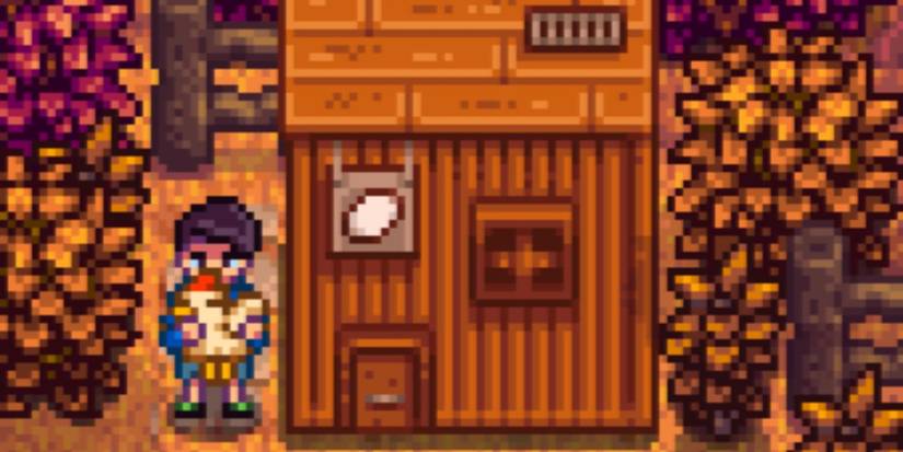 Stardew Valley: How To Get Every Shane Heart Event