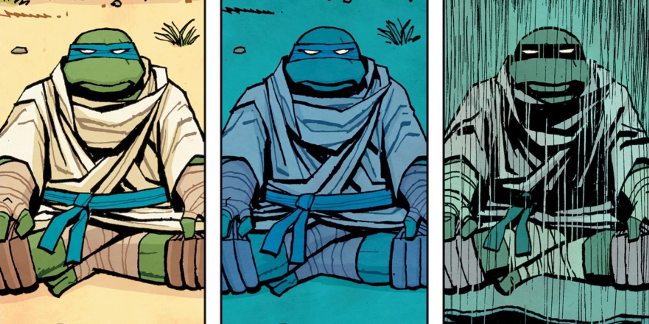 Each Teenage Mutant Ninja Turtle's Relaunched Journey, Explained